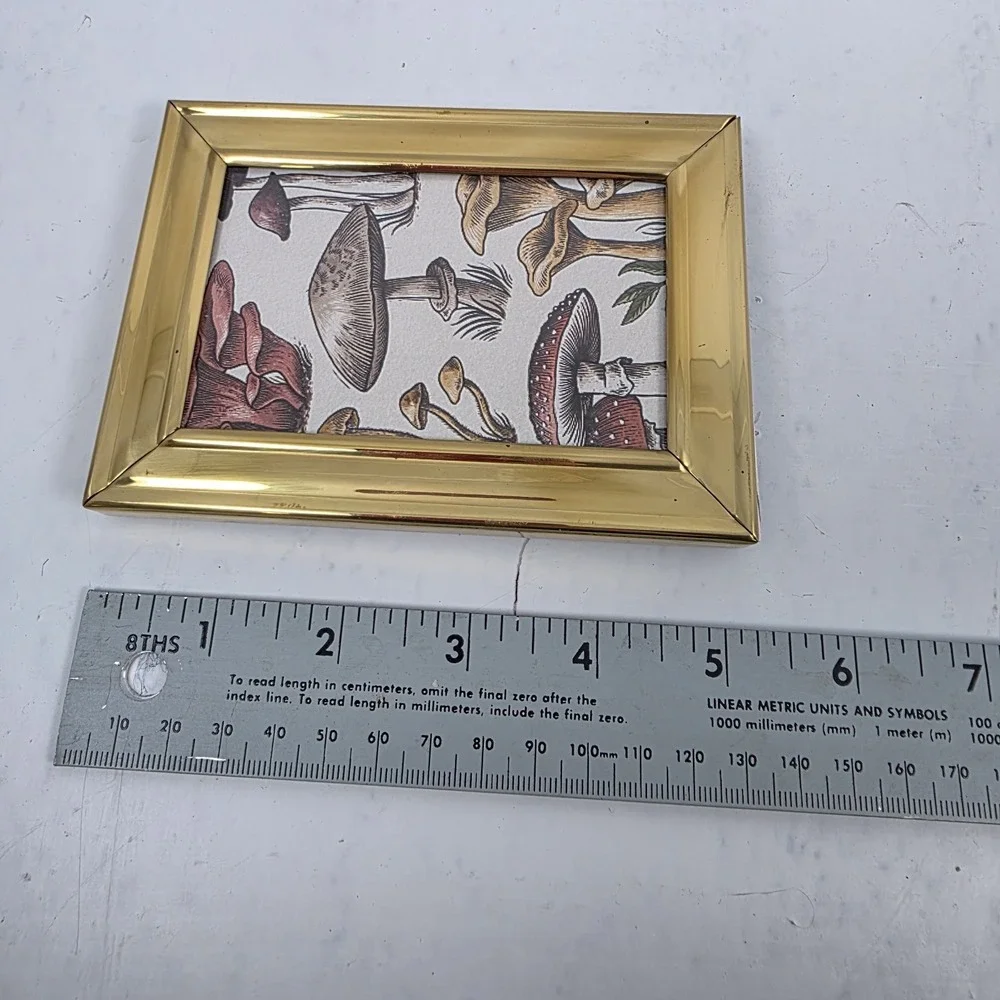 Vtg Brass Frame Mushroom Art Print Velvet Back Glass Front 3.75